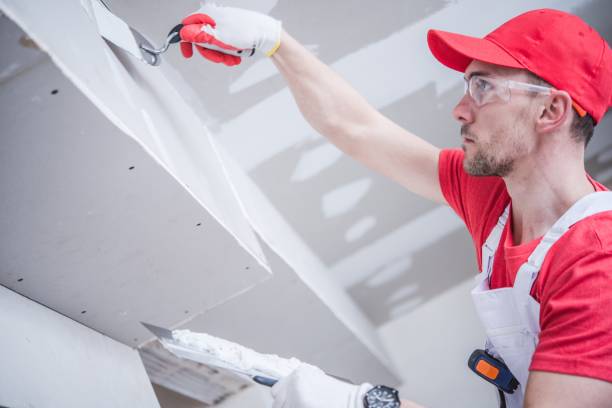 Best Touch-Up Painting Services  in Velva, ND